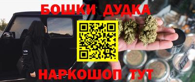 индика Будённовск