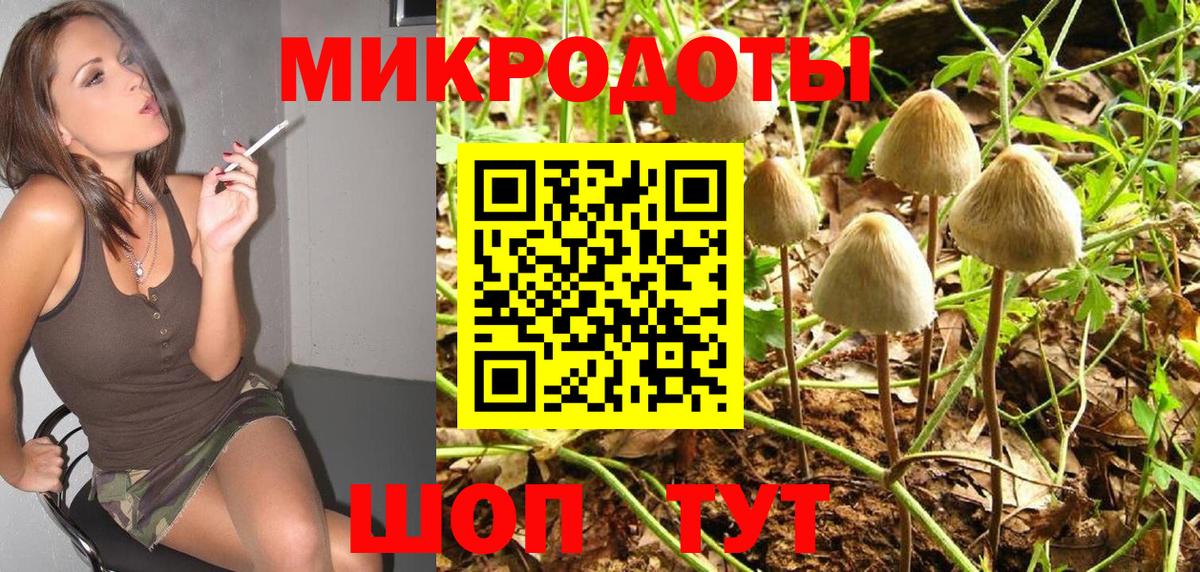 Галлюциногенные грибы Psilocybine cubensis Ростов Великий